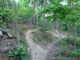 Biology Trail