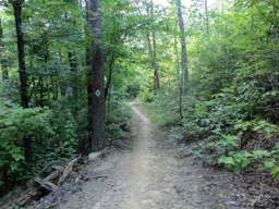 Biology Trail
