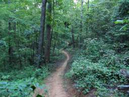 Biology Trail