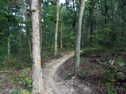 Biology Trail