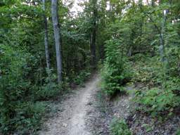 Biology Trail