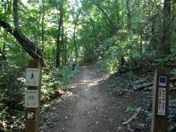 Stringer's Ridge Park