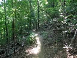 Stringer's Ridge Park
