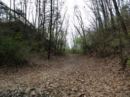 Stringer's Ridge Park