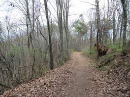 Stringer's Ridge Park