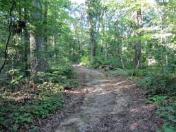 Lookout Mountain Trails