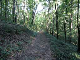 Lookout Mountain Trails