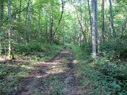 Lookout Mountain Trails