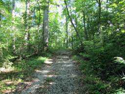 Lookout Mountain Trails