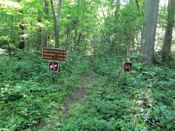 Lookout Mountain Trails