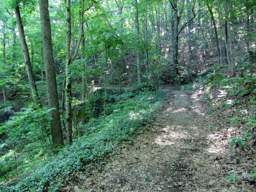 Lookout Mountain Trails