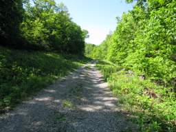 Lookout Mountain Trails