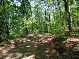 Lookout Mountain Trails