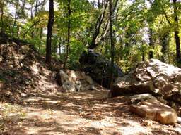 Lookout Mountain Trails