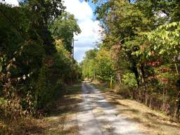Lookout Mountain Trails
