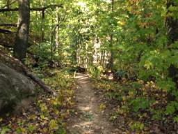 Lookout Mountain Trails