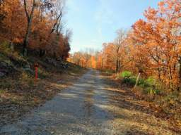 Lookout Mountain Trails