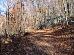 Lookout Mountain Trails