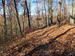 Lookout Mountain Trails