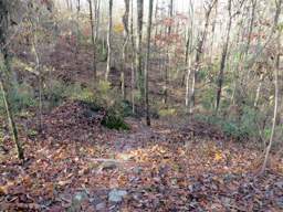 Lookout Mountain Trails