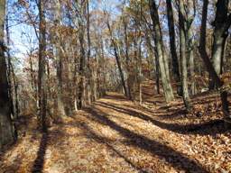 Lookout Mountain Trails