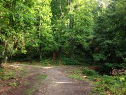 Lookout Mountain Trails