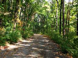 Lookout Mountain Trails
