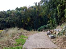 Lookout Mountain Trails