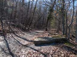 Lookout Mountain Trails