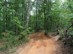 Shackleford Ridge Park