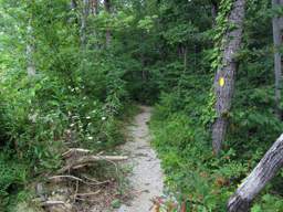 Shackleford Ridge Park