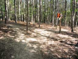 Enterprise South Nature Park