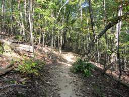 Enterprise South Nature Park