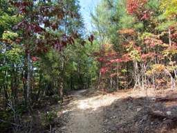 Enterprise South Nature Park