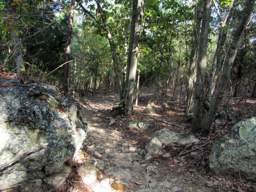 Enterprise South Nature Park