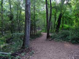 Enterprise South Nature Park