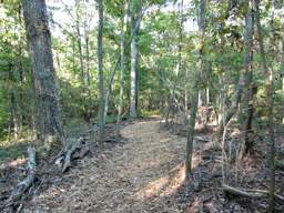 Enterprise South Nature Park