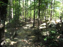 Raccoon Mountain Trail