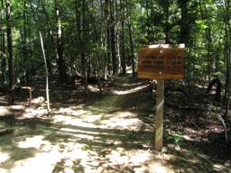 Raccoon Mountain Trail