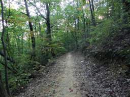 Raccoon Mountain Trail