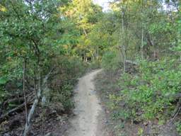 Raccoon Mountain Trail
