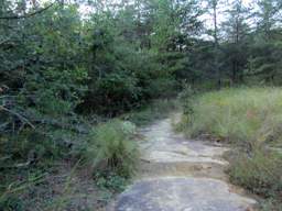 Raccoon Mountain Trail