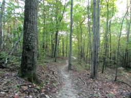 Raccoon Mountain Trail