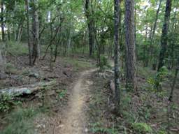 Raccoon Mountain Trail