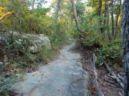 Raccoon Mountain Trail