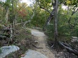 Raccoon Mountain Trail