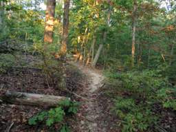 Raccoon Mountain Trail