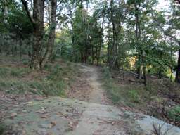 Raccoon Mountain Trail