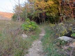 Raccoon Mountain Trail