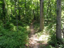 Booker T Washington State Park